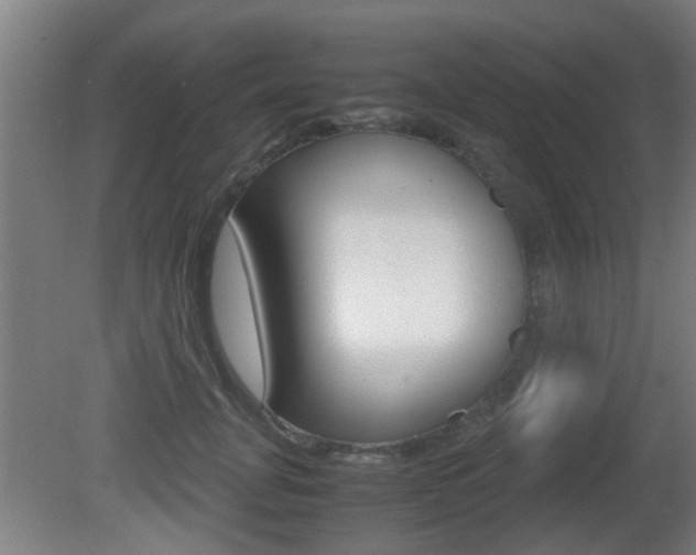 X0000081270751200701110907