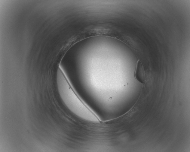 X0000081270752200701110907