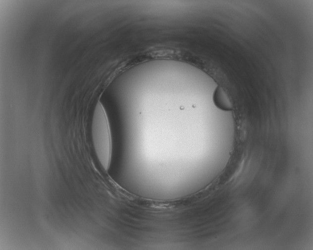 X0000081270753200701110907