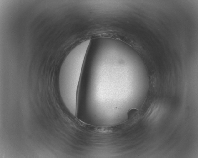 X0000081270754200701110907