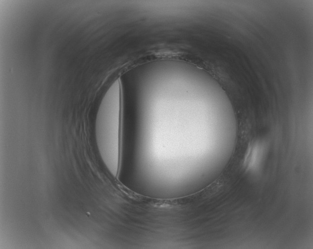 X0000081270755200701110907