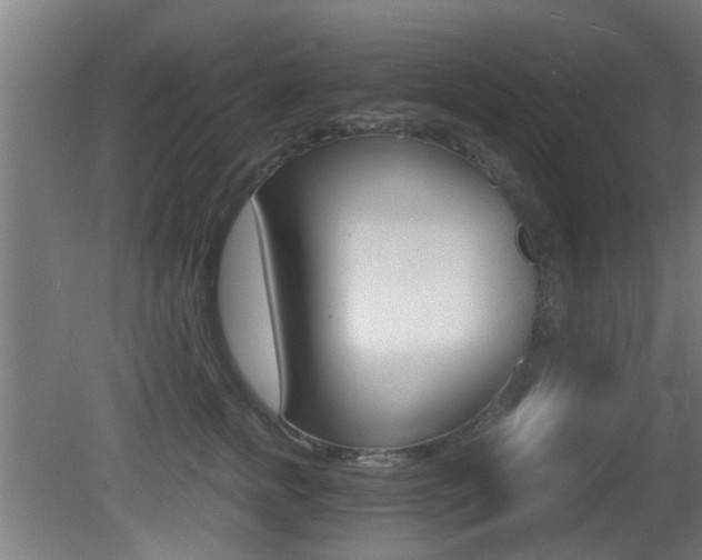 X0000081270758200701110907