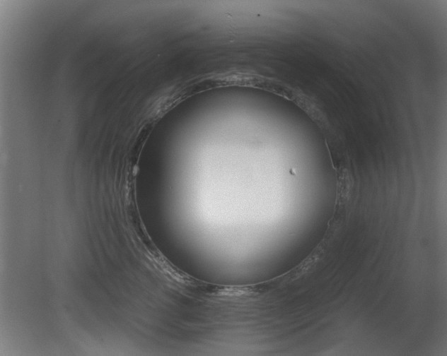 X0000081270762200701110907