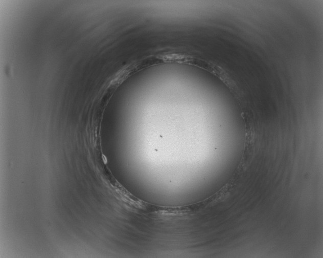 X0000081270763200701110907