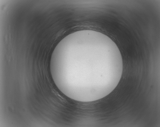 X0000081270766200701110907