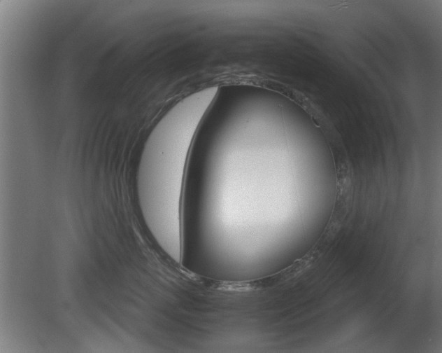 X0000081270767200701110907