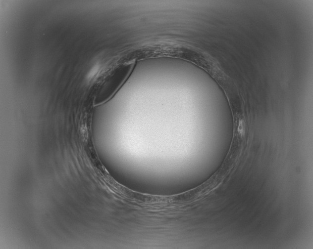 X0000081270771200701110907
