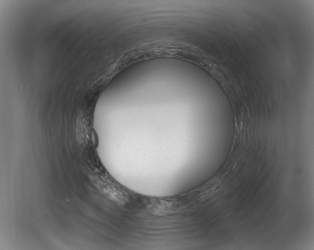 X0000081270772200701110907
