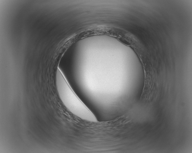 X0000081270773200701110907