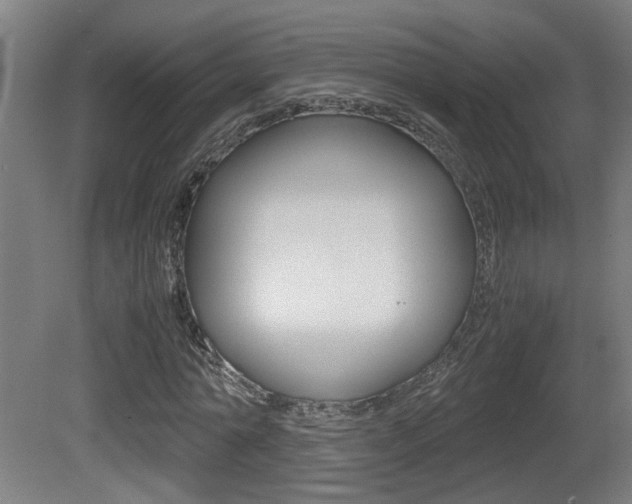 X0000081270774200701110907