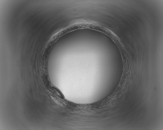 X0000081270775200701110907