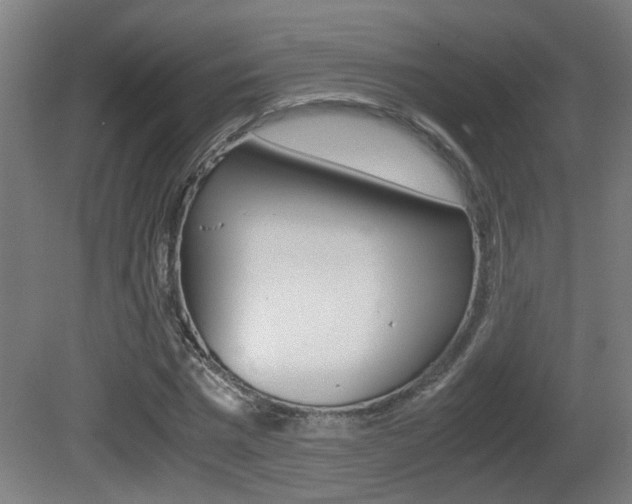 X0000081270777200701110907