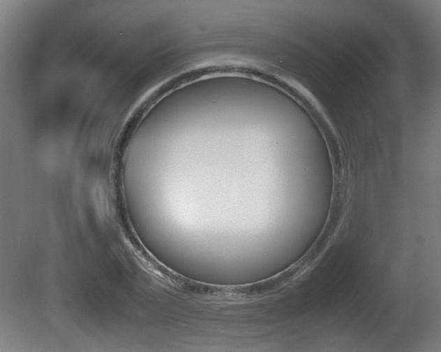 X0000081270783200701110906