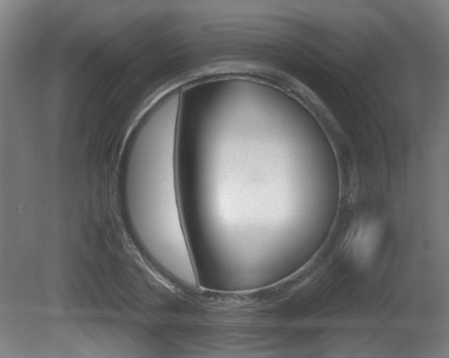 X0000081270786200701110906