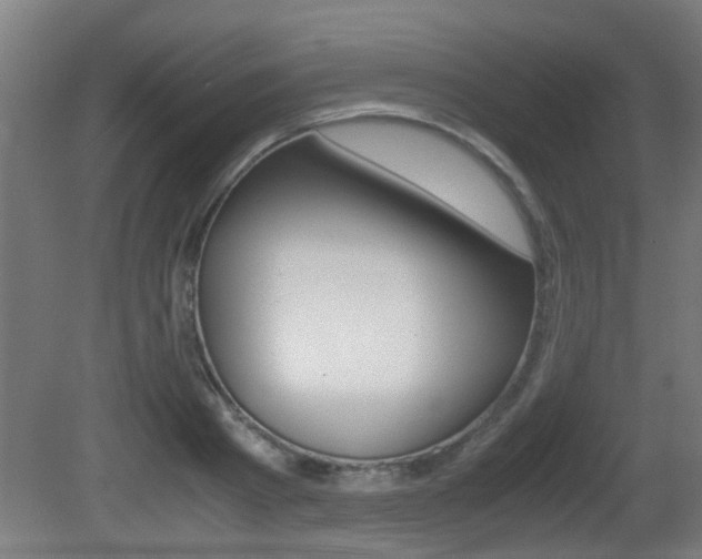 X0000081270793200701110906