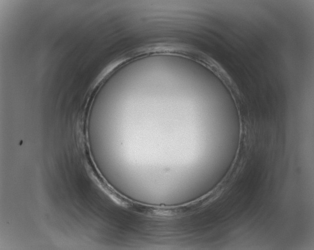 X0000081270794200701110906