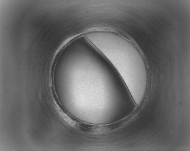 X0000081270795200701110906