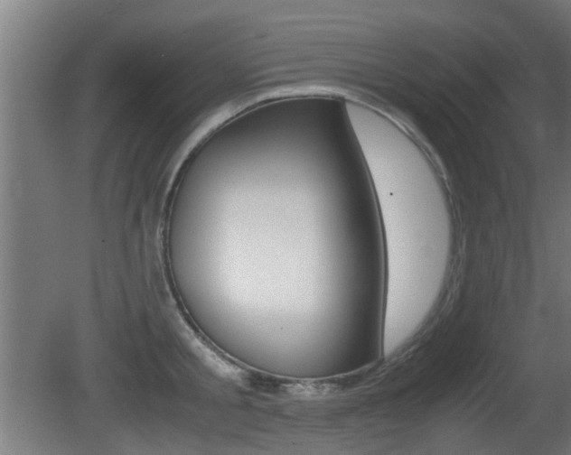 X0000081270805200701110906