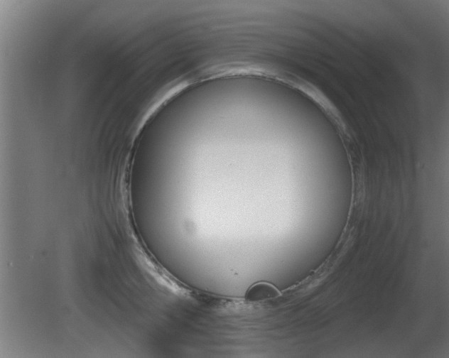 X0000081270806200701110906