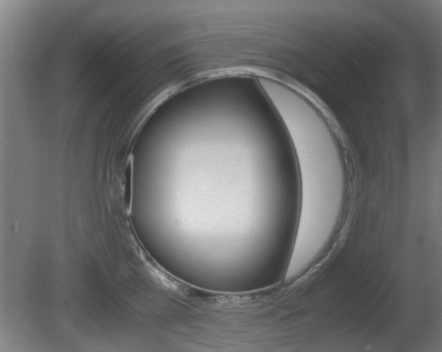 X0000081270809200701110906