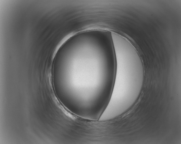 X0000081270812200701110906