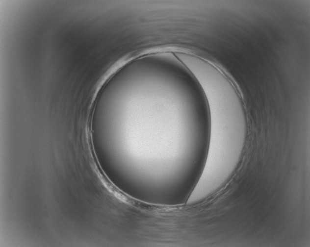X0000081270813200701110906
