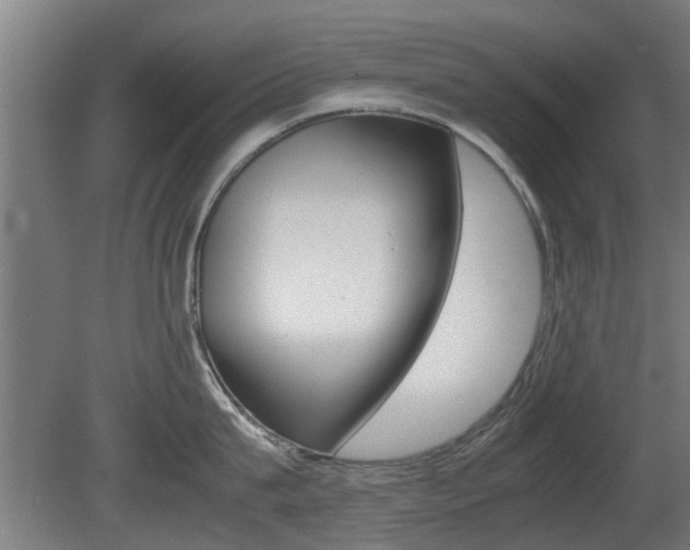 X0000081270815200701110906