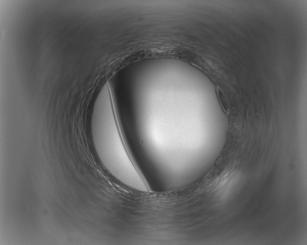 X0000081270817200701110905