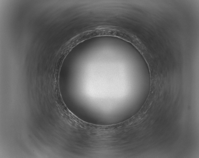 X0000081270821200701110905
