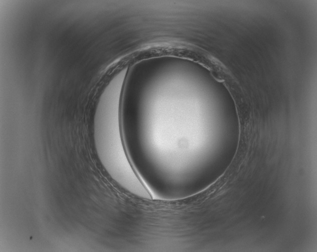 X0000081270822200701110905