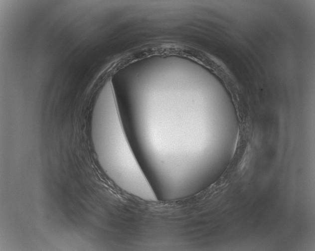 X0000081270823200701110905