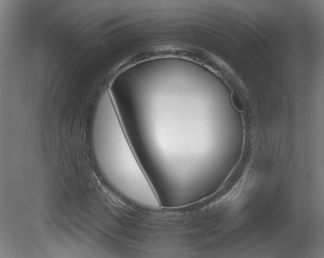 X0000081270825200701110905