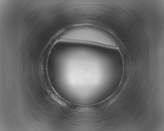 X0000081270826200701110905