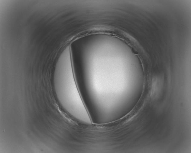 X0000081270833200701110905