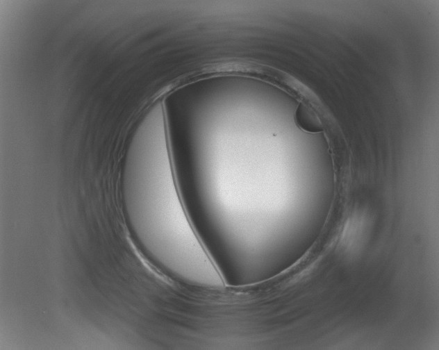 X0000081270841200701110905