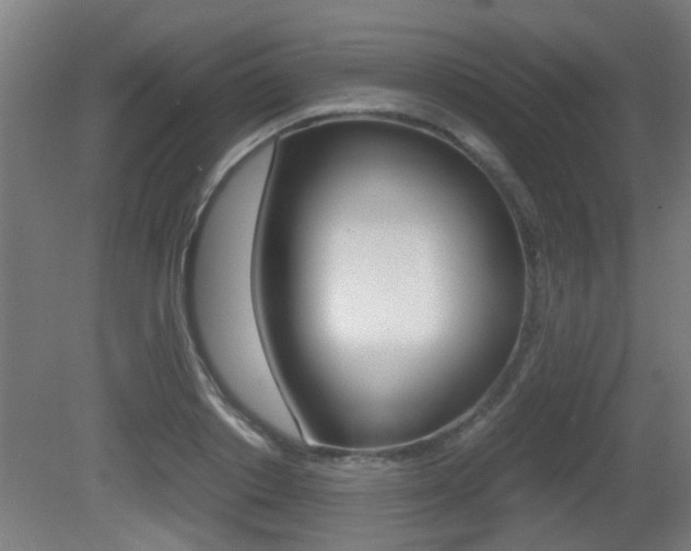 X0000081270842200701110905