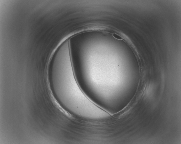 X0000081270843200701110905
