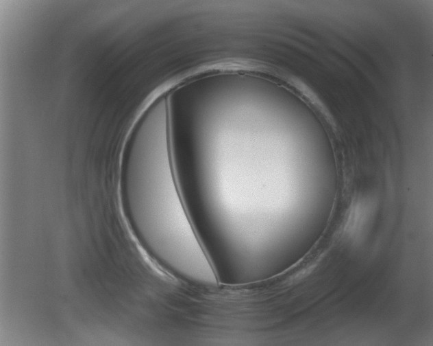 X0000081270845200701110906
