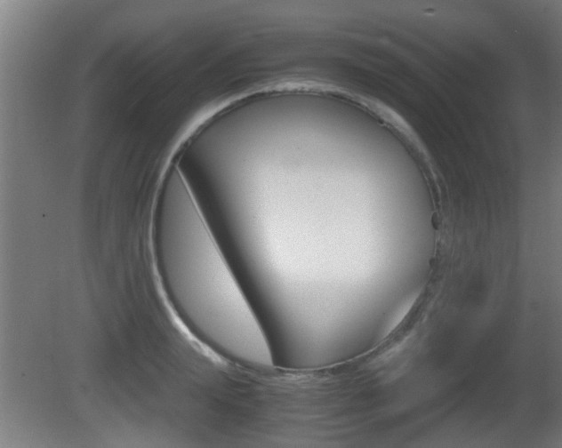 X0000081270847200701110906