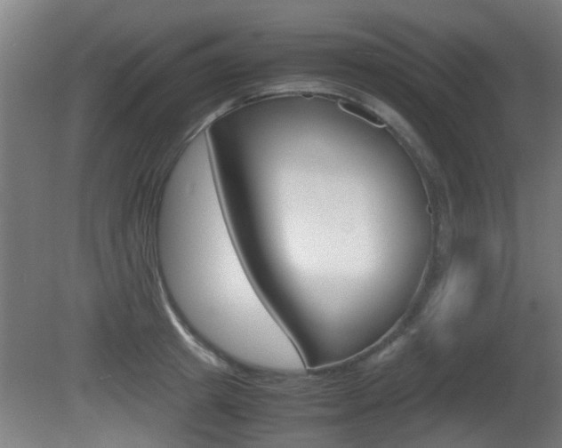 X0000081270849200701110906