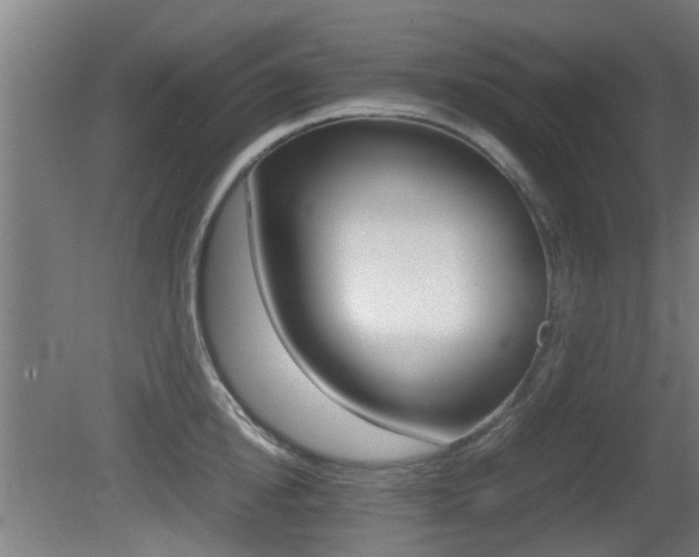 X0000081270854200701110906