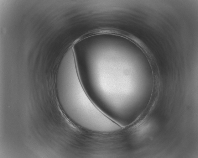 X0000081270857200701110906