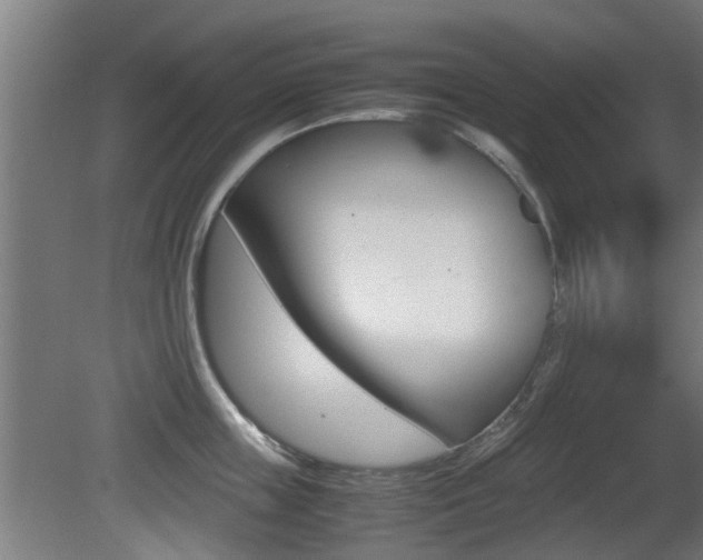 X0000081270859200701110906