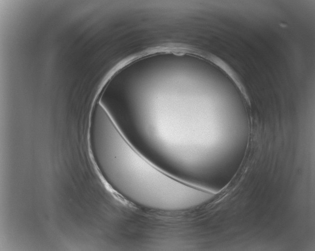 X0000081270861200701110906