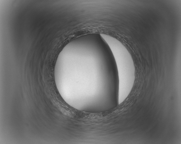 X0000081270865200701110905