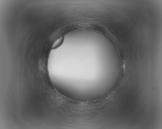 X0000081270867200701110905