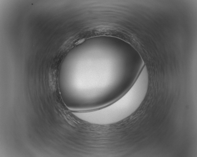 X0000081270868200701110905