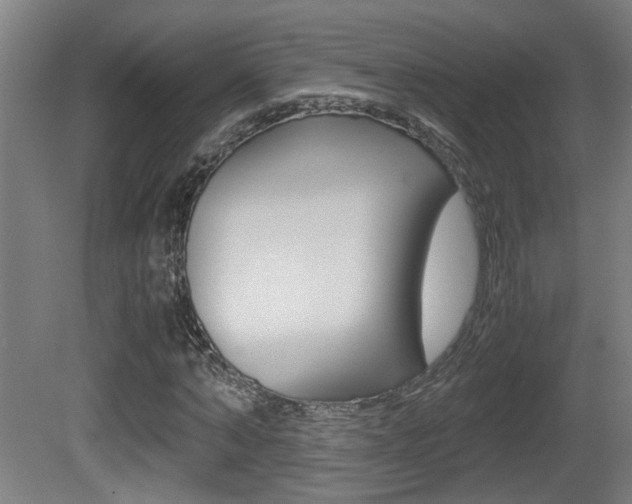 X0000081270870200701110905