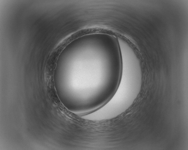 X0000081270872200701110905