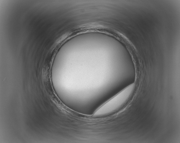 X0000081270873200701110905